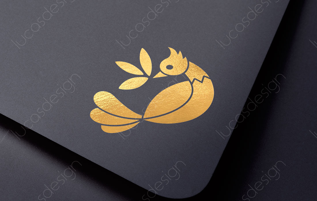 logo ambalaje etichete pungi condimente